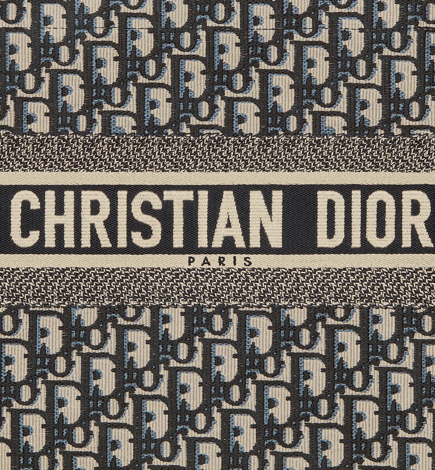 Dior Book Tote (Medium)