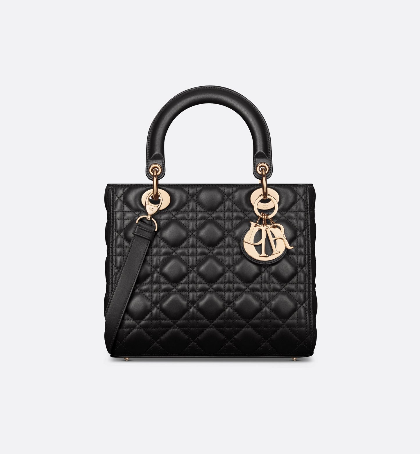 Dior Lady Dior Bag (Medium)